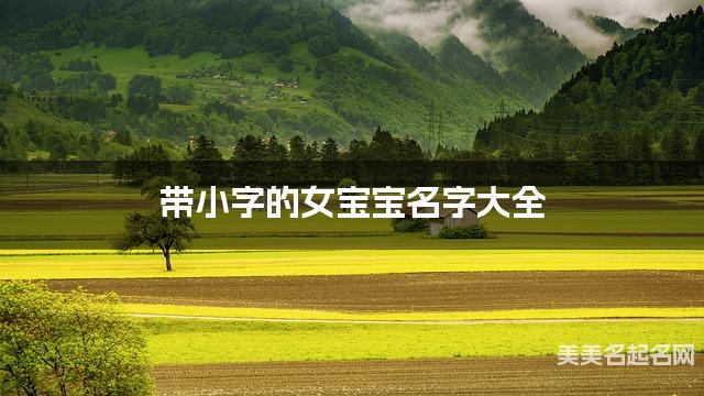 带小字的女宝宝名字大全 带小字的女宝宝名字大全