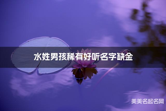 水姓男孩稀有好听名字缺金 有含义的宝宝名字大全