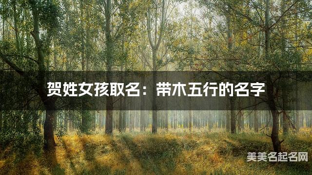 贺姓女孩取名：带木五行的名字（有创意）