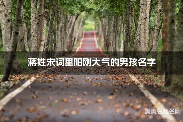 取名字大全八字取名 蒋姓宋词里阳刚大气的男孩名字