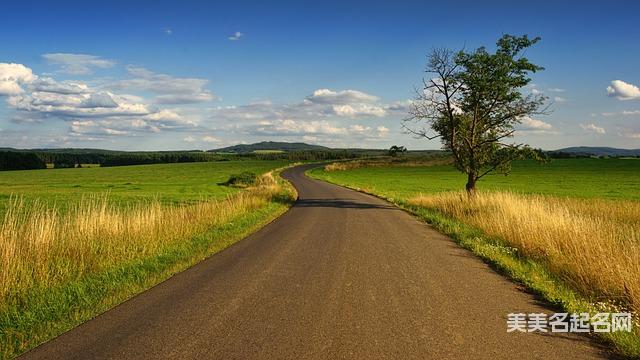 龙年宜用字:简单顺口好听的龙年宝宝名字大全 龙年宜用字:简单顺口好听的龙年宝宝名字大全