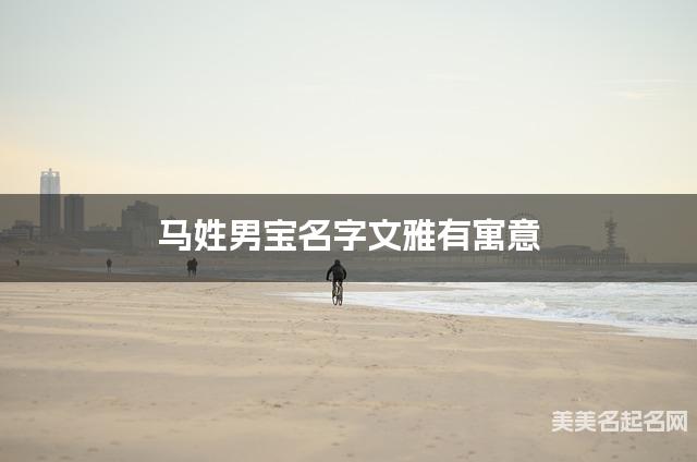 国学大师取名 马姓男宝名字文雅有寓意