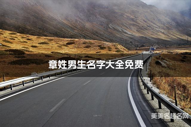 章姓男生名字大全免费 有新意的名字