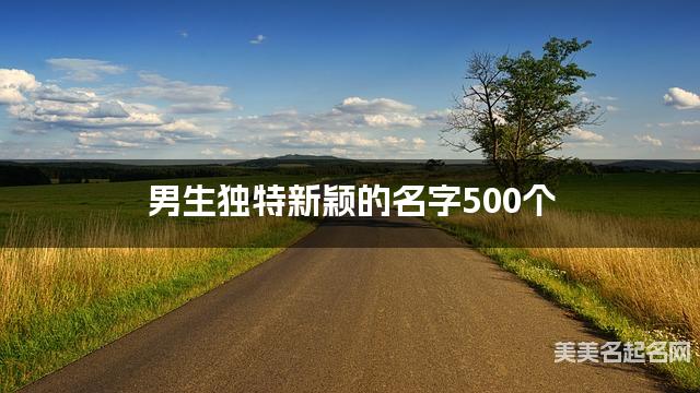 起名取名助手 男生独特新颖的名字500个