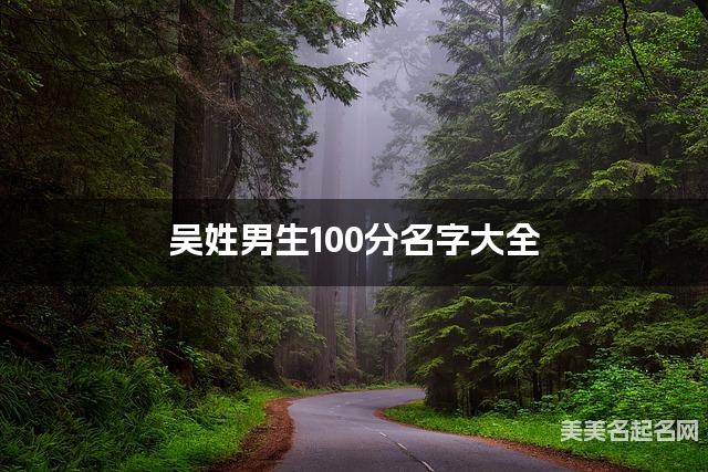 吴姓男生100分名字大全