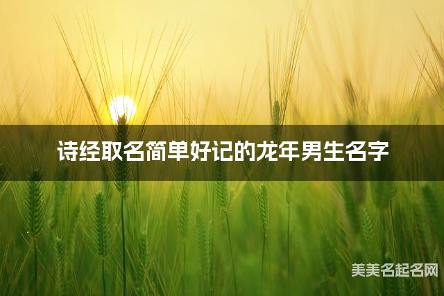 诗经取名简单好记的龙年男生名字 诗经取名简单好记的龙年男生名字