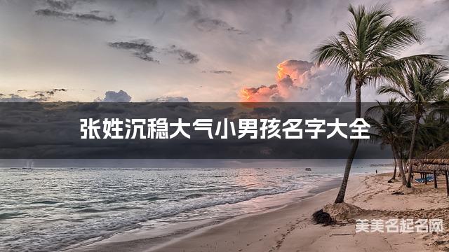 张姓沉稳大气小男孩名字大全