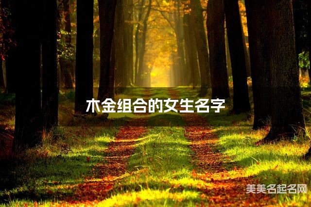 木金组合的女生名字 女生简单好记的名字