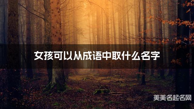 女孩可以从成语中取什么名字 女孩可以从成语中取什么名字