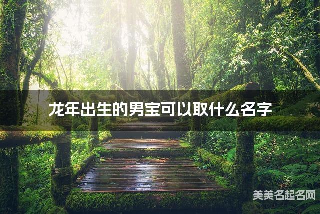 龙年出生的男宝可以取什么名字（有涵养）