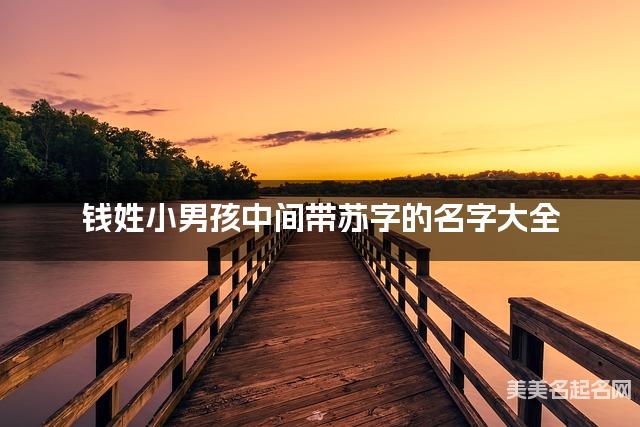 钱姓小男孩中间带苏字的名字大全 钱姓小男孩中间带苏字的名字大全