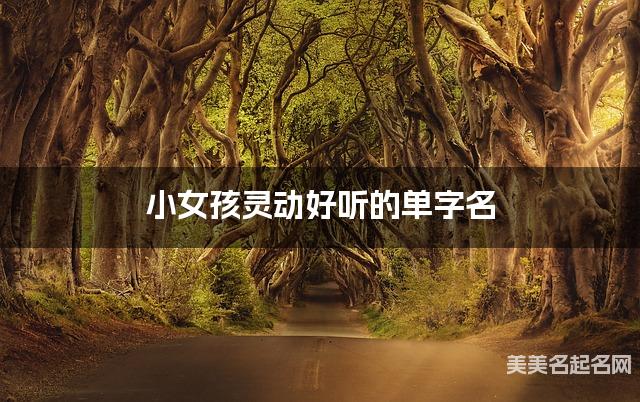 小女孩灵动好听的单字名  有灵气的宝宝单字名大全