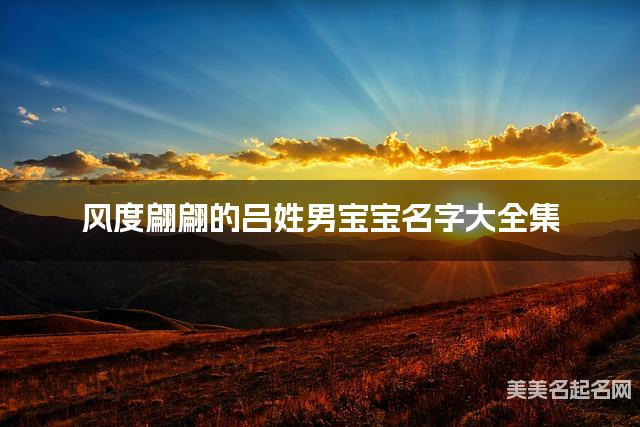 风度翩翩的吕姓男宝宝名字大全集