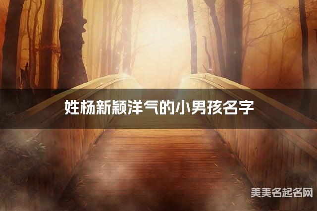 姓杨新颖洋气的小男孩名字