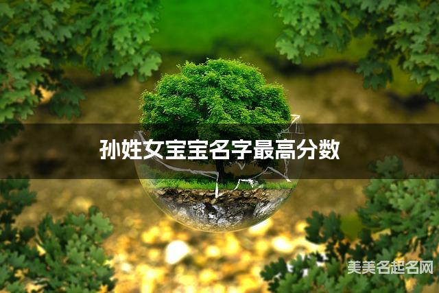 起名字免费 孙姓女宝宝名字最高分数