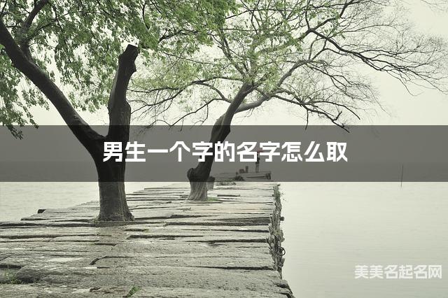 男生一个字的名字怎么取 有气质的宝宝单字名大全