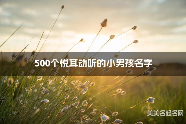500个悦耳动听的小男孩名字