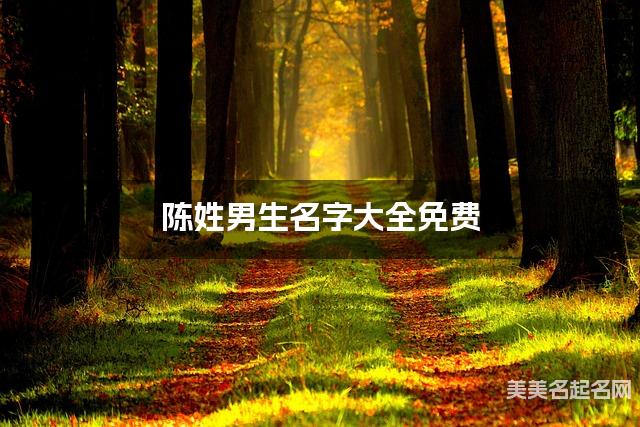 陈姓男生名字大全免费 漂亮有涵养的名字