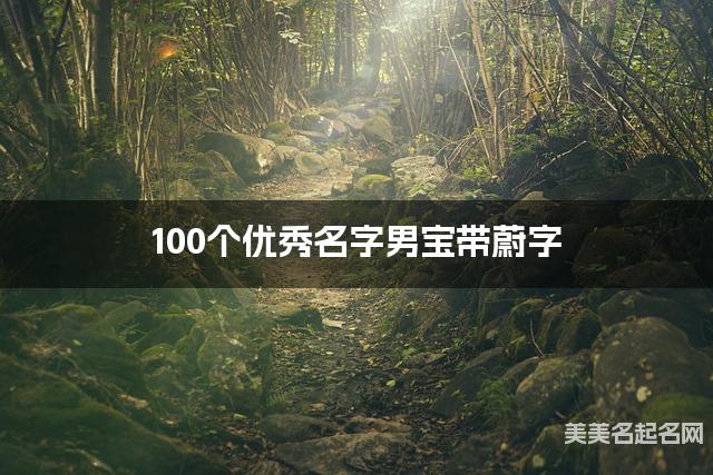 100个优秀名字男宝带蔚字