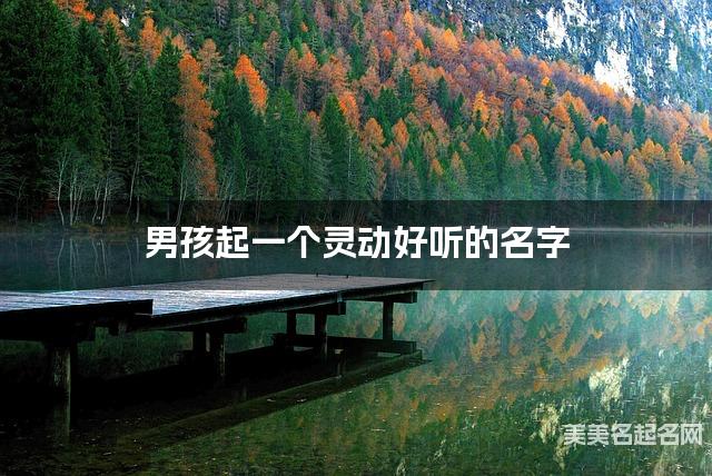 起名取名平台 男孩起一个灵动好听的名字