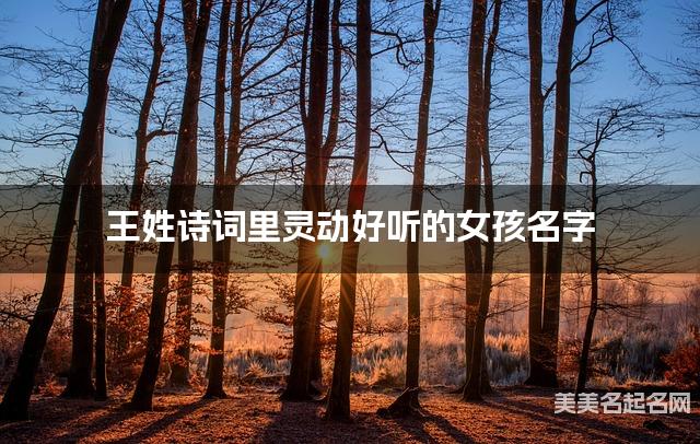 取名字大全免费查询 王姓诗词里灵动好听的女孩名字