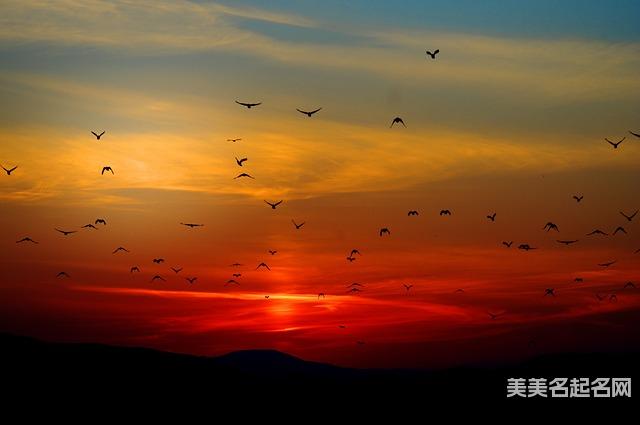 最新李姓宝宝免费自动取名100分