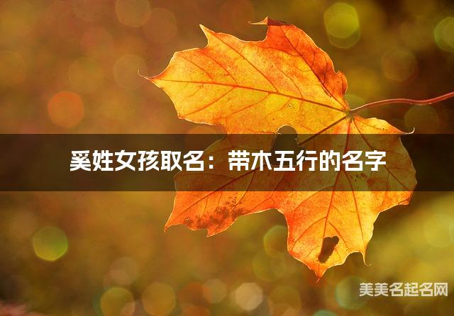 奚姓女孩取名：带木五行的名字（有创意）