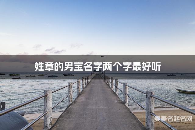 姓章的男宝名字两个字最好听