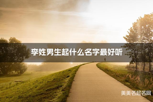 李姓男生起什么名字最好听 宝宝起名推荐(惊艳)