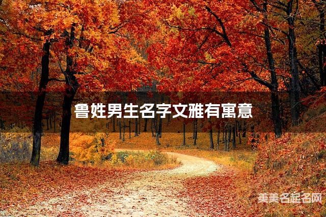 宝宝取名字大全 鲁姓男生名字文雅有寓意