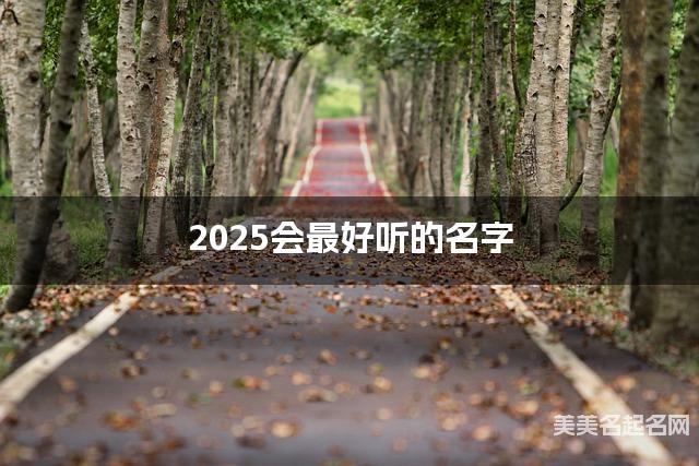 2025会最好听的名字（朱姓女孩）