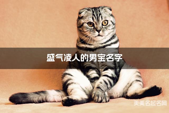盛气凌人的男宝名字（137个最新）