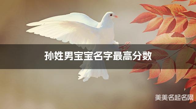 起名网免费取名神器 孙姓男宝宝名字最高分数