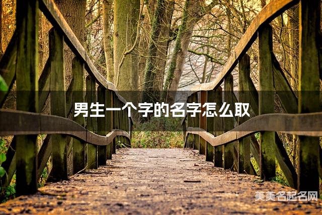 男生一个字的名字怎么取 有新意的宝宝单字名大全