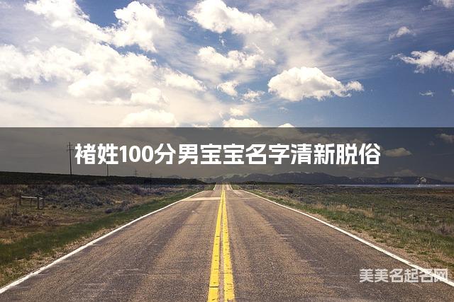 褚姓100分男宝宝名字清新脱俗