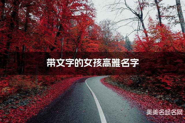 带文字的女孩高雅名字