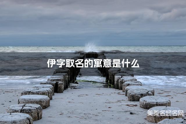 伊字取名的寓意是什么
