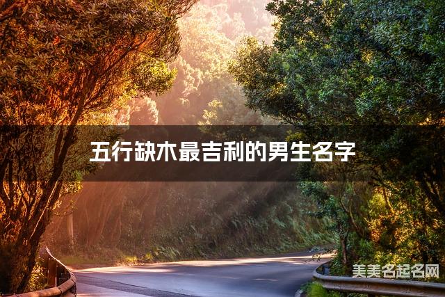 五行缺木最吉利的男生名字 有含义的宝宝名字大全 五行缺木最吉利的男生名字 有含义的宝宝名字大全