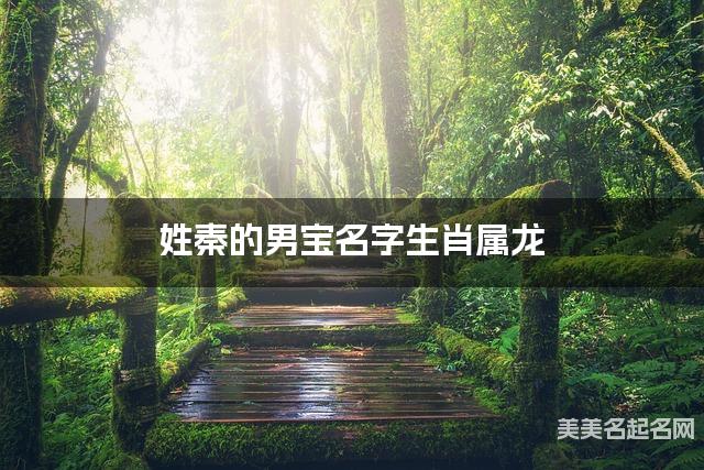 姓秦的男宝名字生肖属龙 有诗意的宝宝名字大全