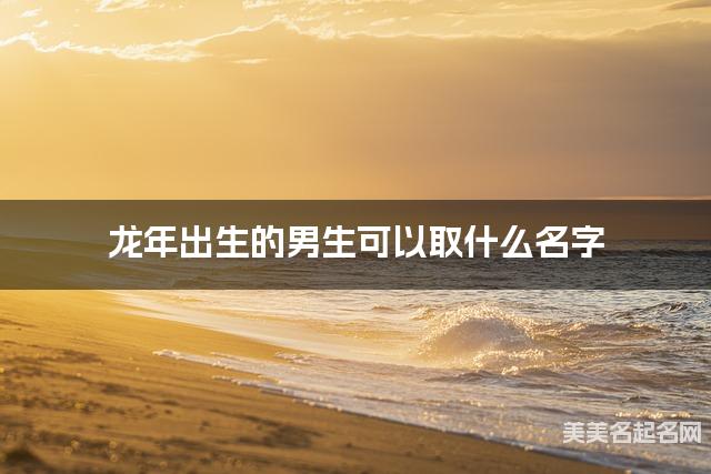 龙年出生的男生可以取什么名字（有新意）