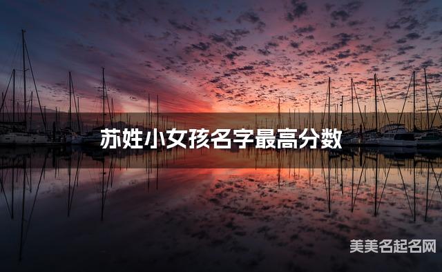 国学大师取名 苏姓小女孩名字最高分数