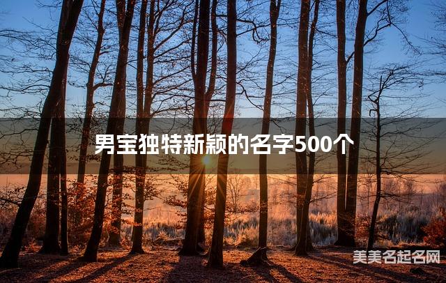 取名神器起名助手 男宝独特新颖的名字500个