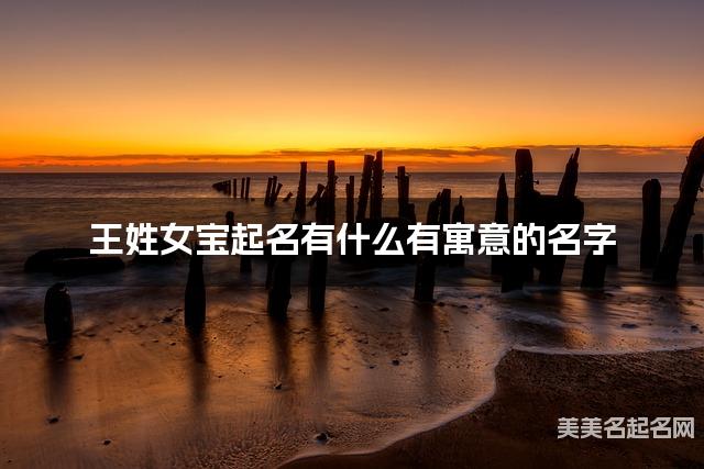 王姓女宝起名有什么有寓意的名字