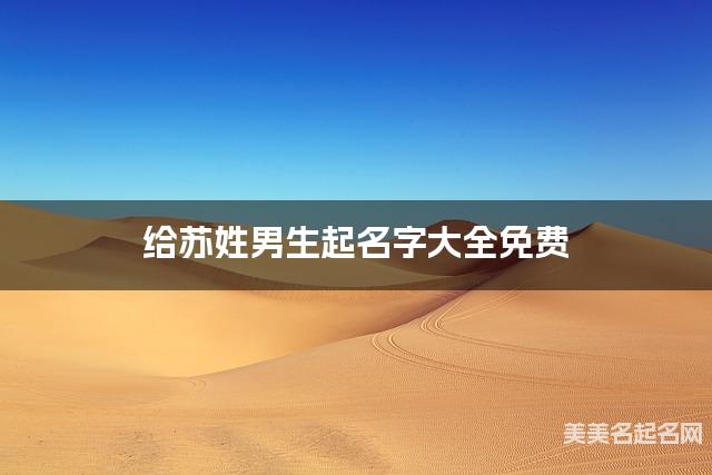 给苏姓男生起名字大全免费 有诗意的宝宝好名字