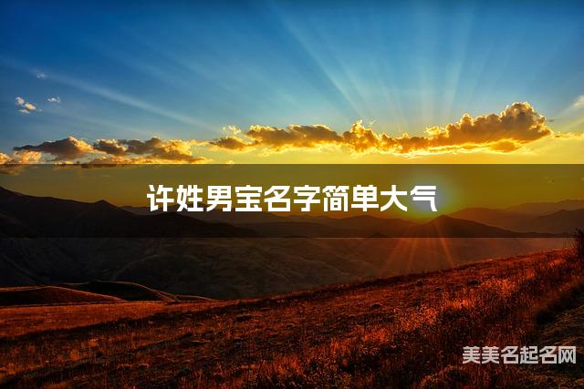起名取名助手 许姓男宝名字简单大气