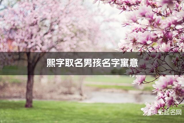 熙字取名男孩名字寓意 120个搭配最好的带熙字名字