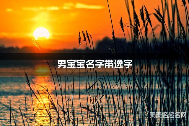 男宝宝名字带逸字 独特新颖的男孩名字