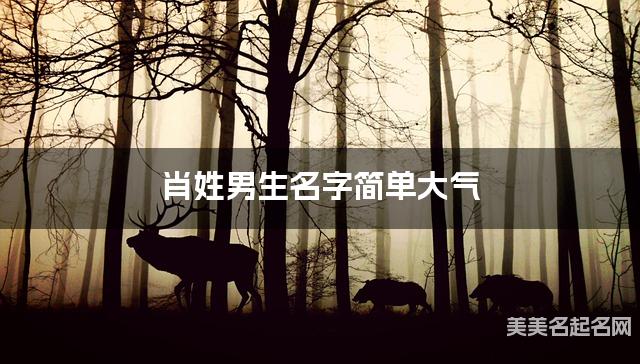 取名神器起名助手 肖姓男生名字简单大气 取名神器起名助手 肖姓男生名字简单大气