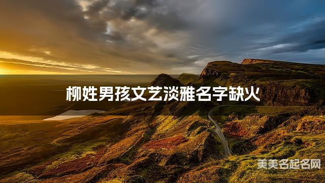 柳姓男孩文艺淡雅名字缺火 有诗意的宝宝名字大全