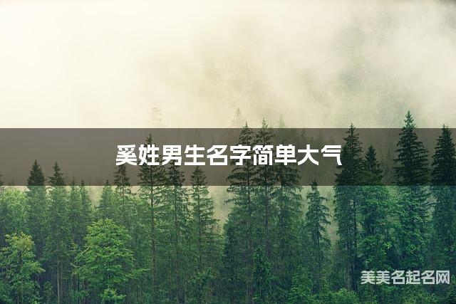 取名字大全八字取名 奚姓男生名字简单大气 取名字大全八字取名 奚姓男生名字简单大气